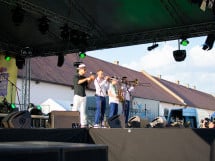 Concert Pannonia Allstars Ska Orchestra