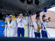 Concert Pannonia Allstars Ska Orchestra