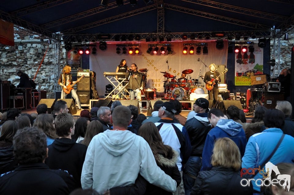 Concert Pataky Művek, Cetatea Oradea