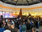 Concert Paula Seling în Era Shopping Park