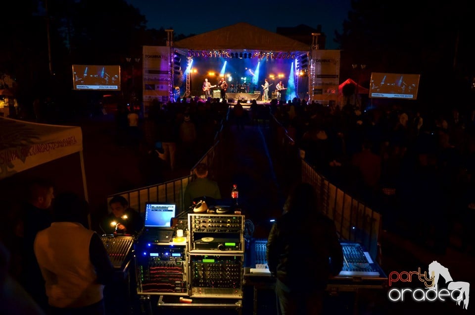 Concert Polter Guys,