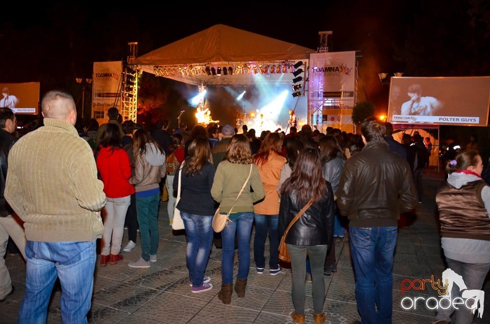 Concert Polter Guys,