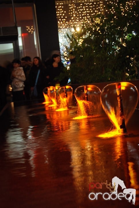 Concert Puya în Lotus Center, Lotus Center