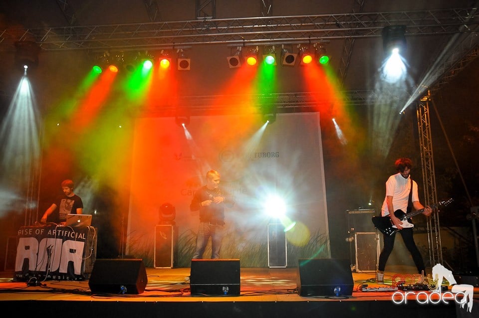 Concert ROA,