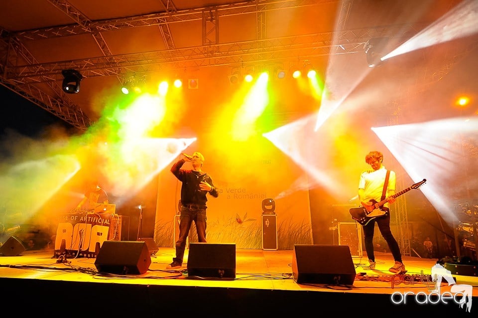 Concert ROA,