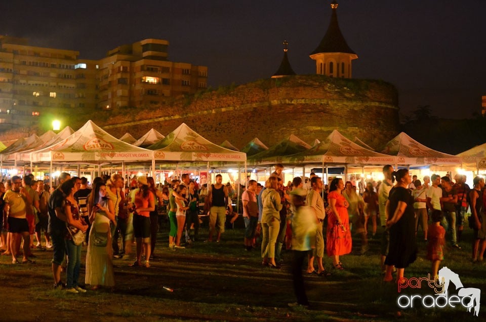 Concert Sarmalele Reci la Festivalul  Berii, Cetatea Oradea