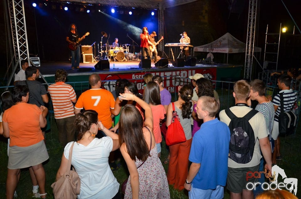 Concert Sarmalele Reci la Festivalul  Berii, Cetatea Oradea