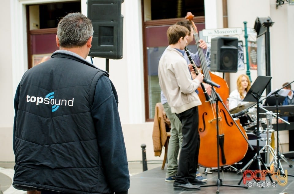 Concert stradal, Oradea