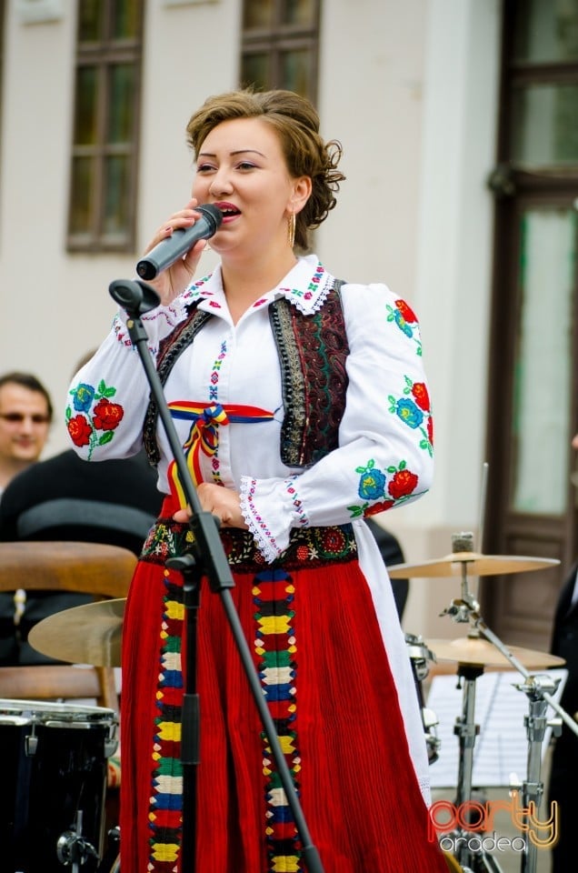 Concert stradal, Oradea