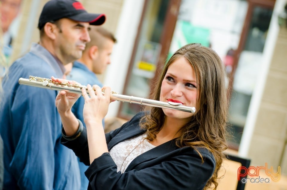 Concert stradal, Oradea