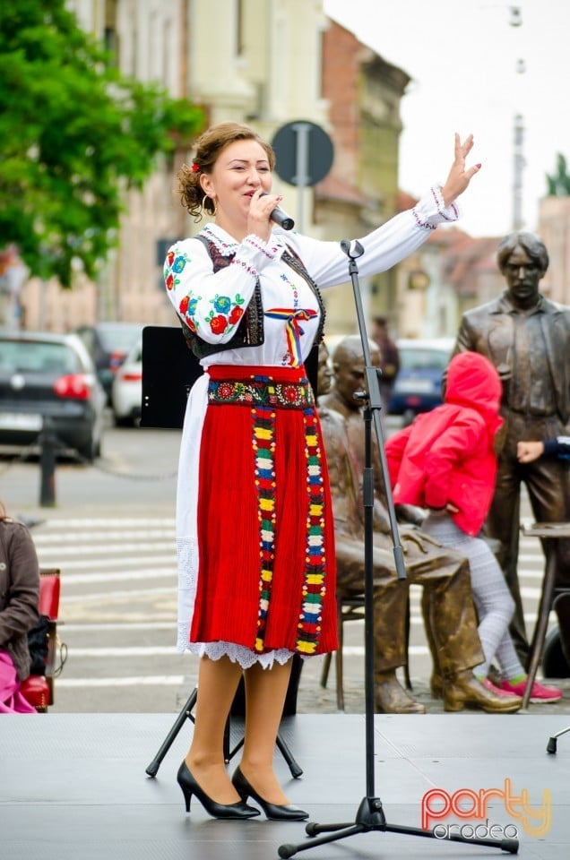 Concert stradal, Oradea