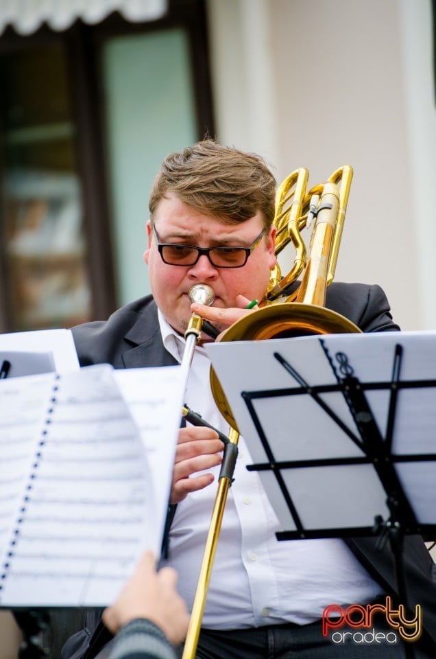 Concert stradal, Oradea