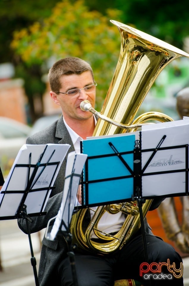 Concert stradal, Oradea