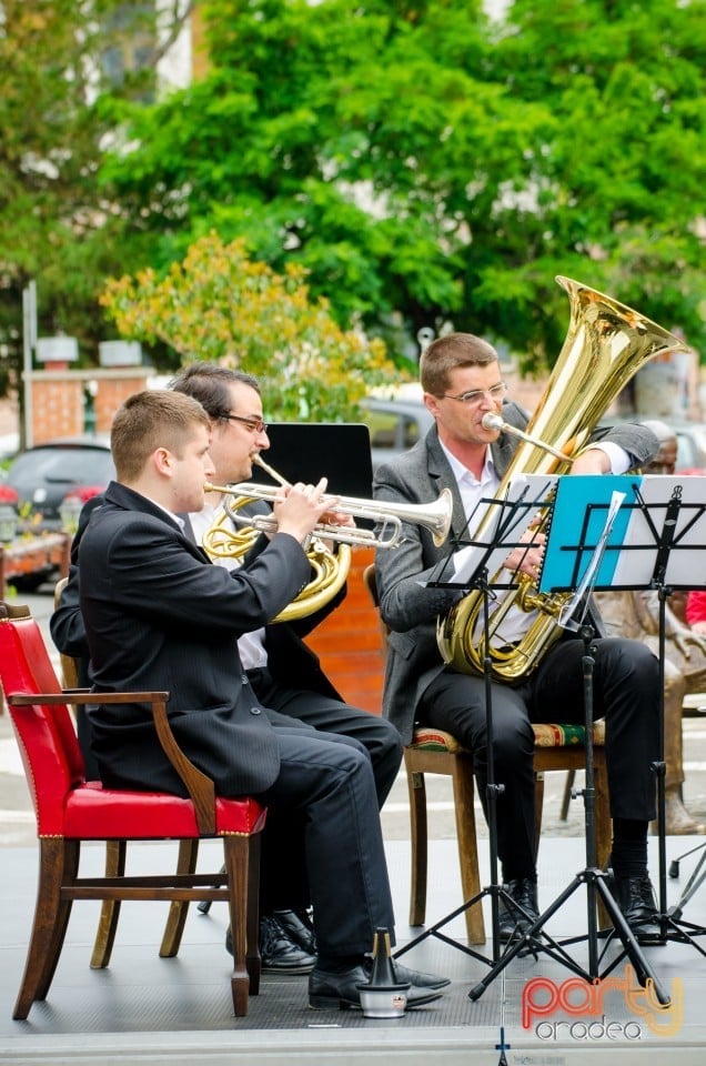 Concert stradal, Oradea