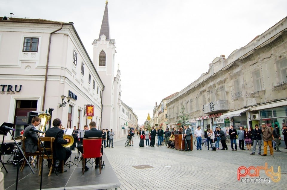 Concert stradal, Oradea