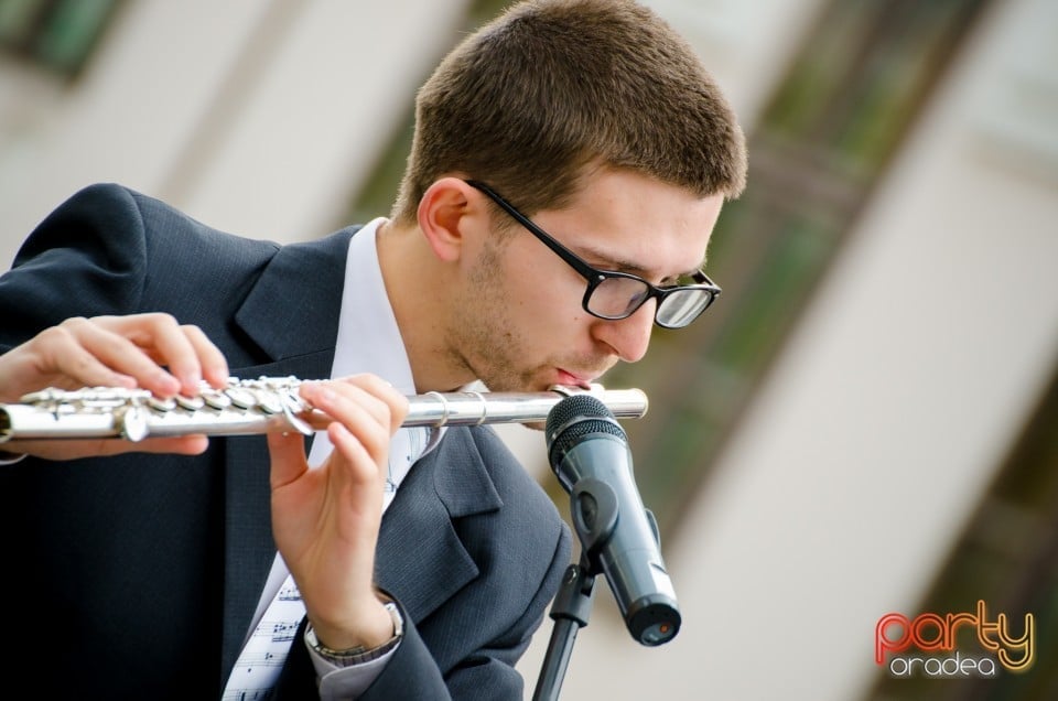 Concert stradal, Oradea