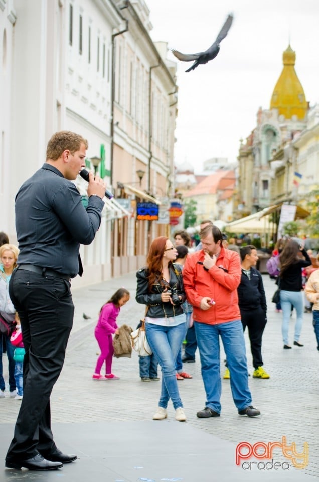 Concert stradal, Oradea