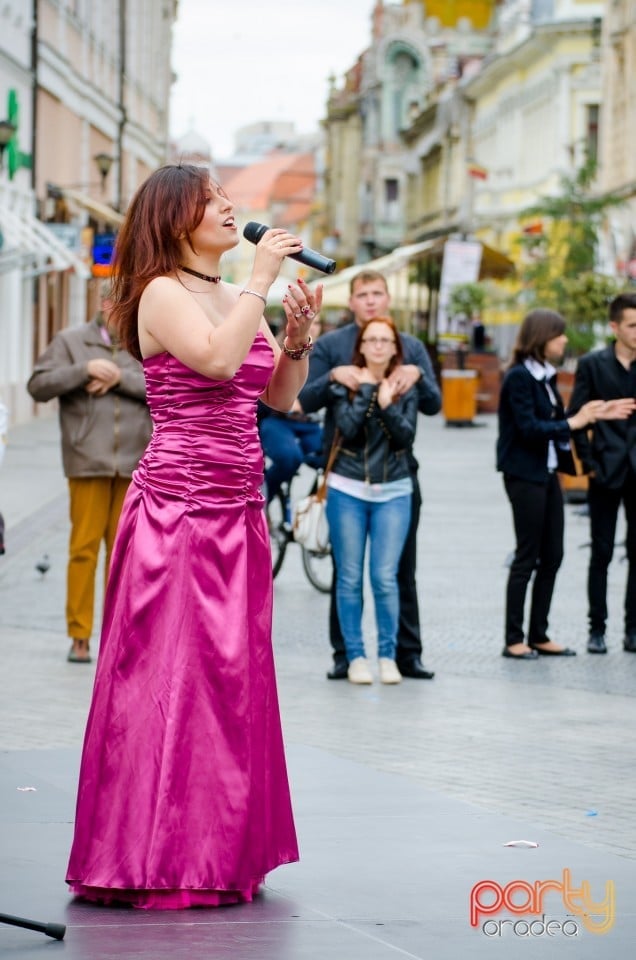 Concert stradal, Oradea