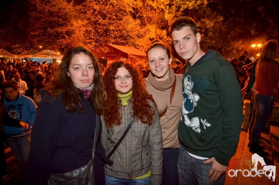 Concert Ternipe, 