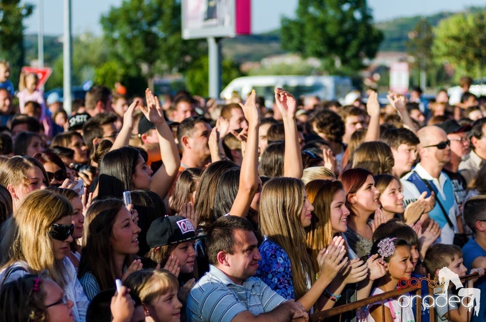 Concert Vama, Lotus Center