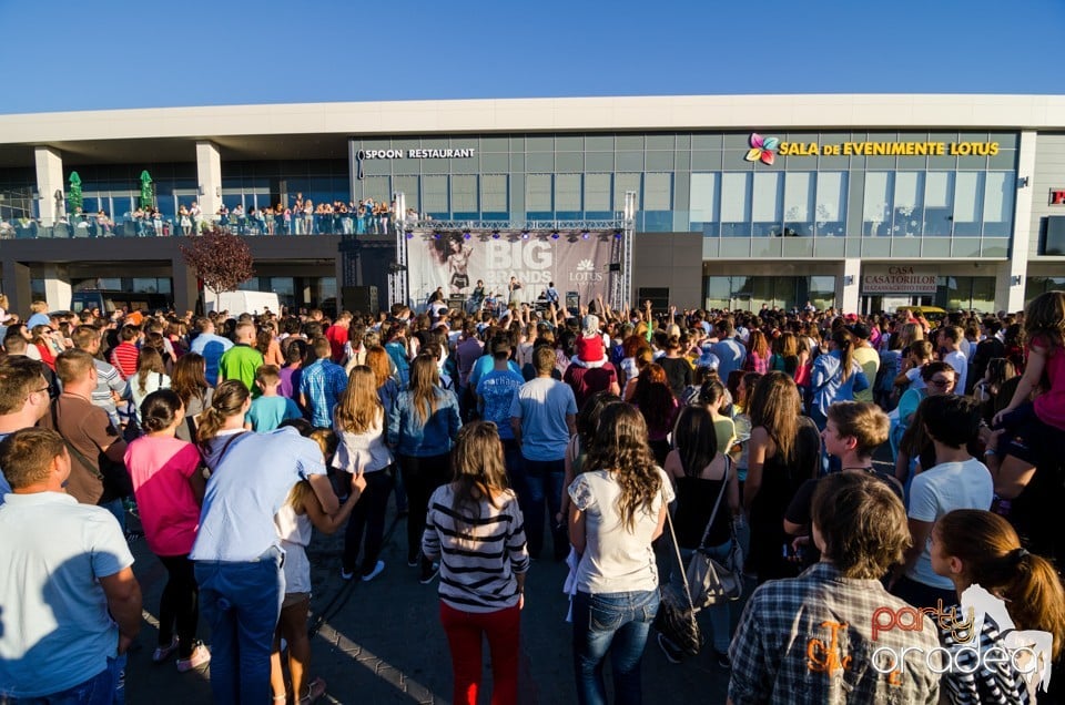 Concert Vama, Lotus Center