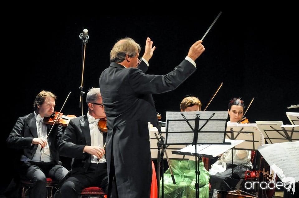 Concert Vienna Classic Christmas, Teatrul Regina Maria