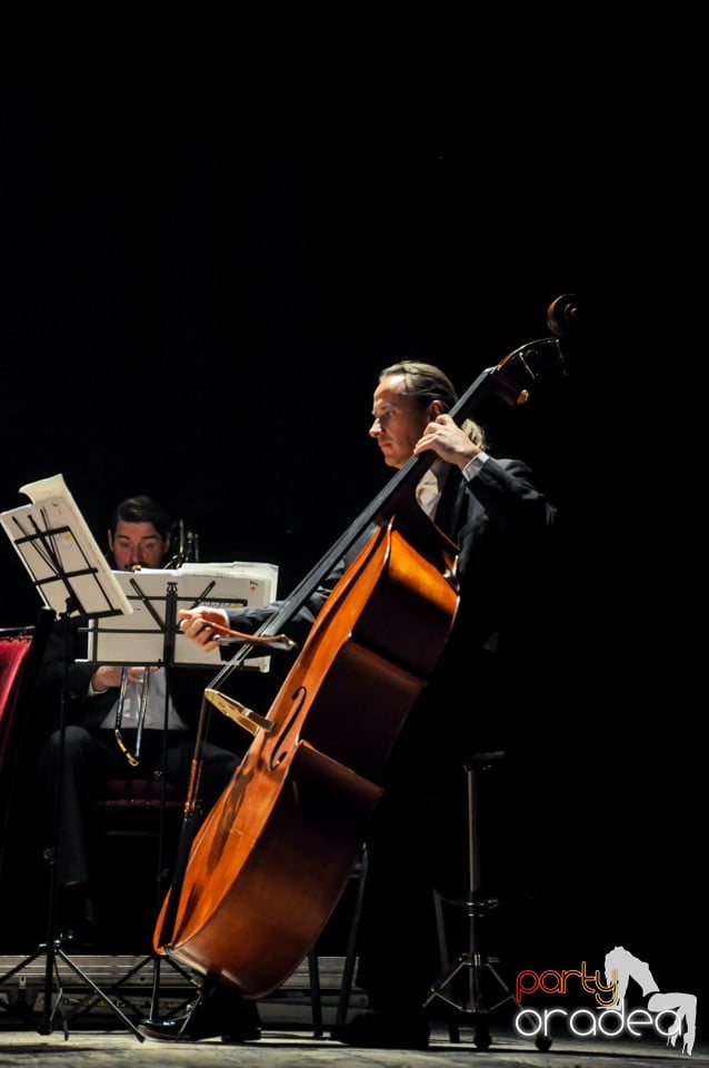 Concert Vienna Classic Christmas, Teatrul Regina Maria