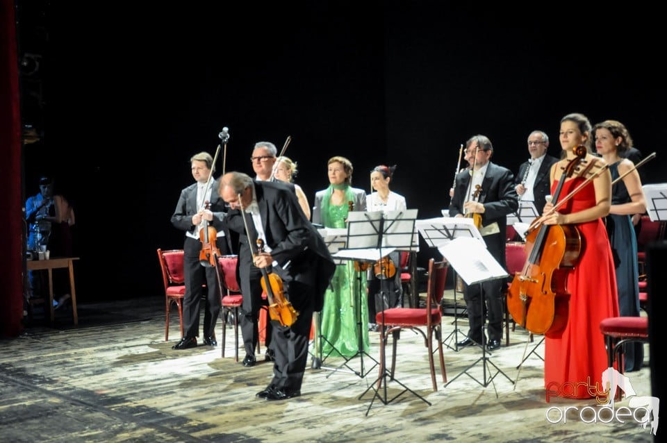 Concert Vienna Classic Christmas, Teatrul Regina Maria