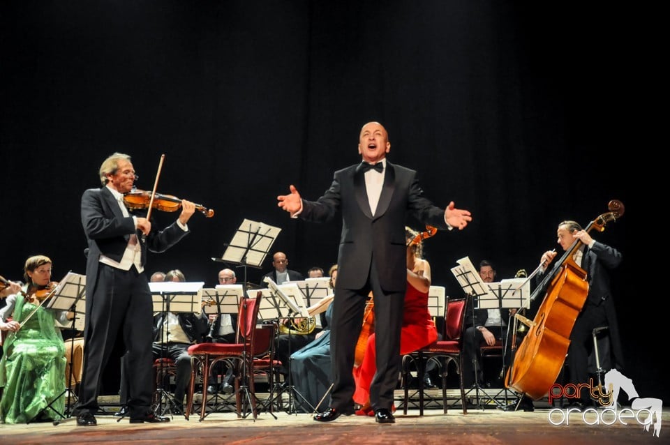 Concert Vienna Classic Christmas, Teatrul Regina Maria