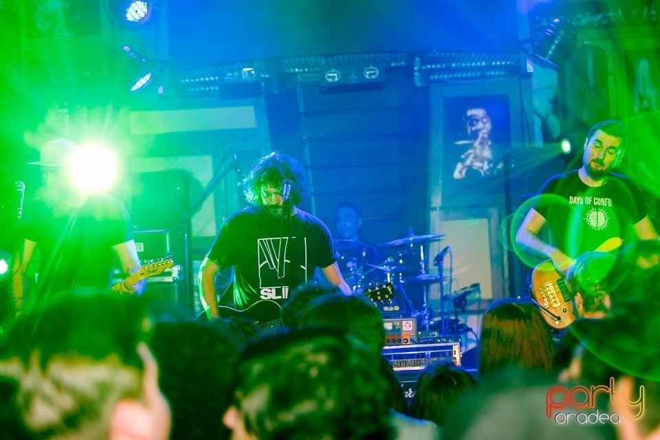 Concert Viţa de Vie, 