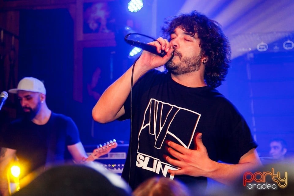 Concert Viţa de Vie, 