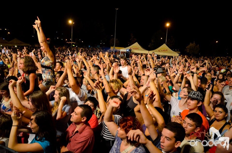 Concert Voltaj în Lotus Center, Lotus Center