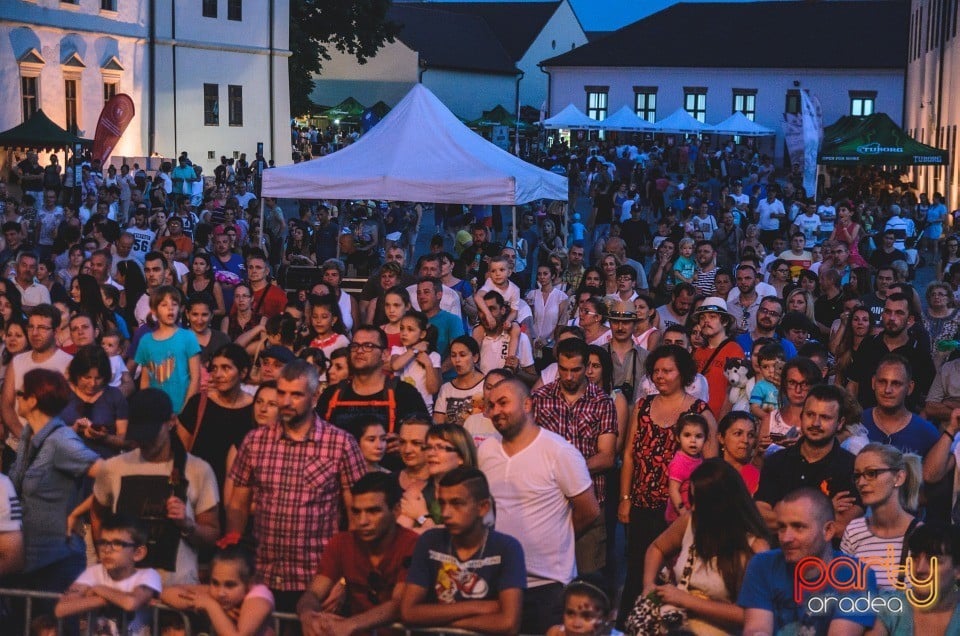 Concert VUNK, Cetatea Oradea