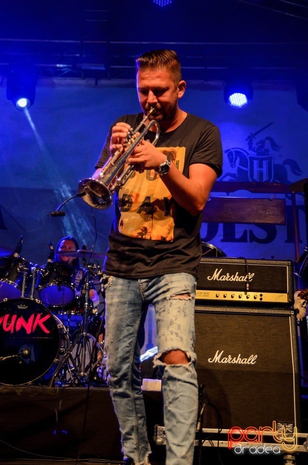 Concert VUNK, Cetatea Oradea