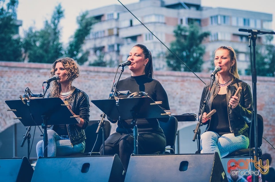 Concert Zorán, Oradea