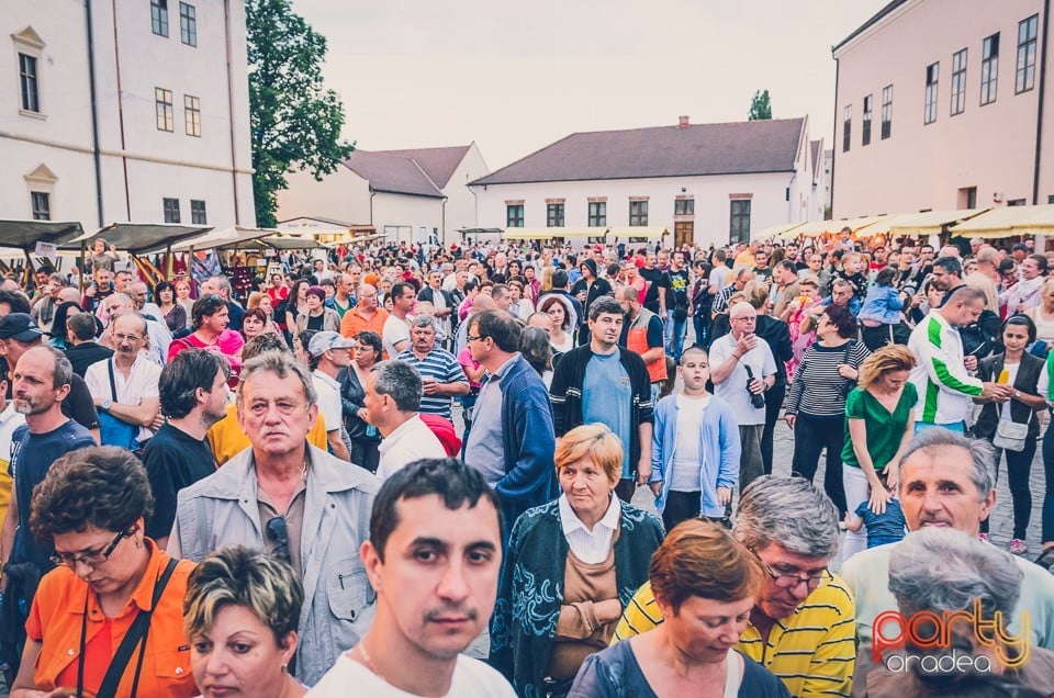 Concert Zorán, Oradea