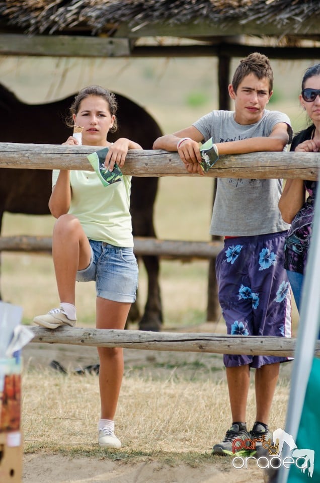 Concerte la Campionatul European de Rodeo, Băile Felix