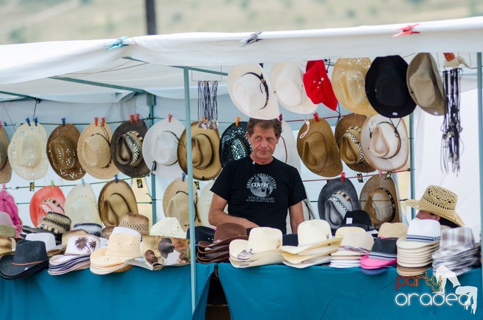 Concerte la Campionatul European de Rodeo, Băile Felix