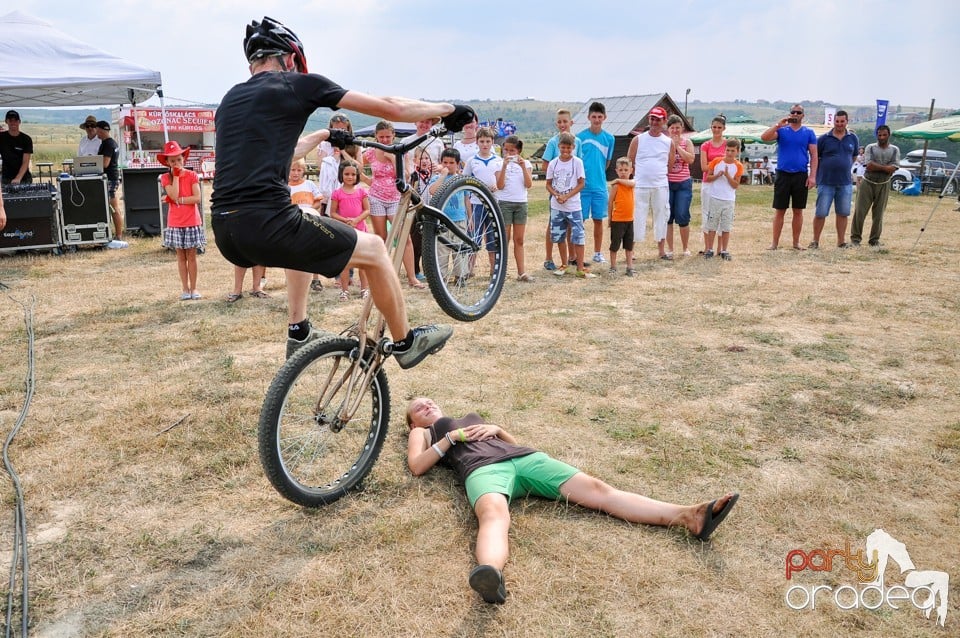 Concerte la Campionatul European de Rodeo, Băile Felix