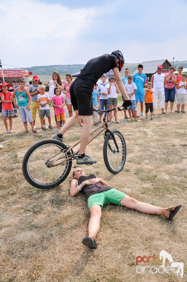 Concerte la Campionatul European de Rodeo, Băile Felix