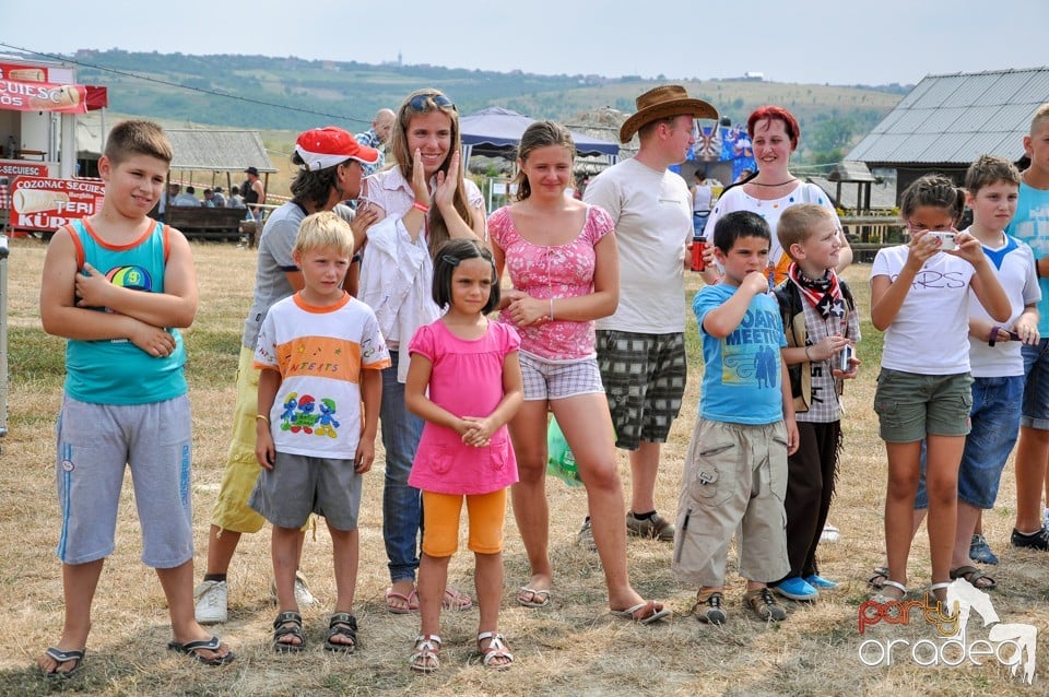 Concerte la Campionatul European de Rodeo, Băile Felix