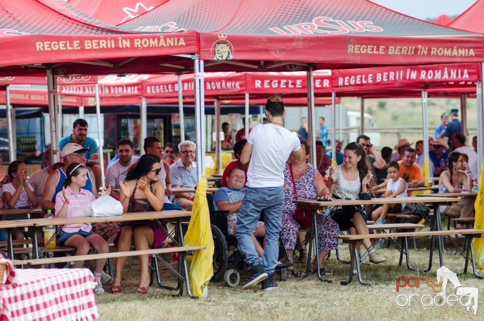 Concerte la Campionatul European de Rodeo, Băile Felix