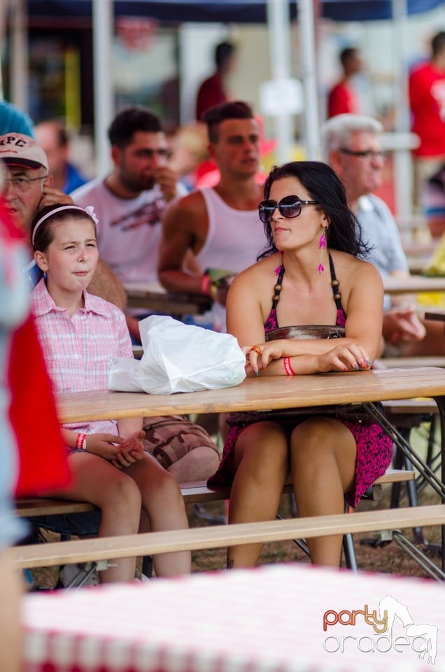 Concerte la Campionatul European de Rodeo, Băile Felix