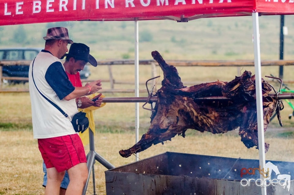 Concerte la Campionatul European de Rodeo, Băile Felix