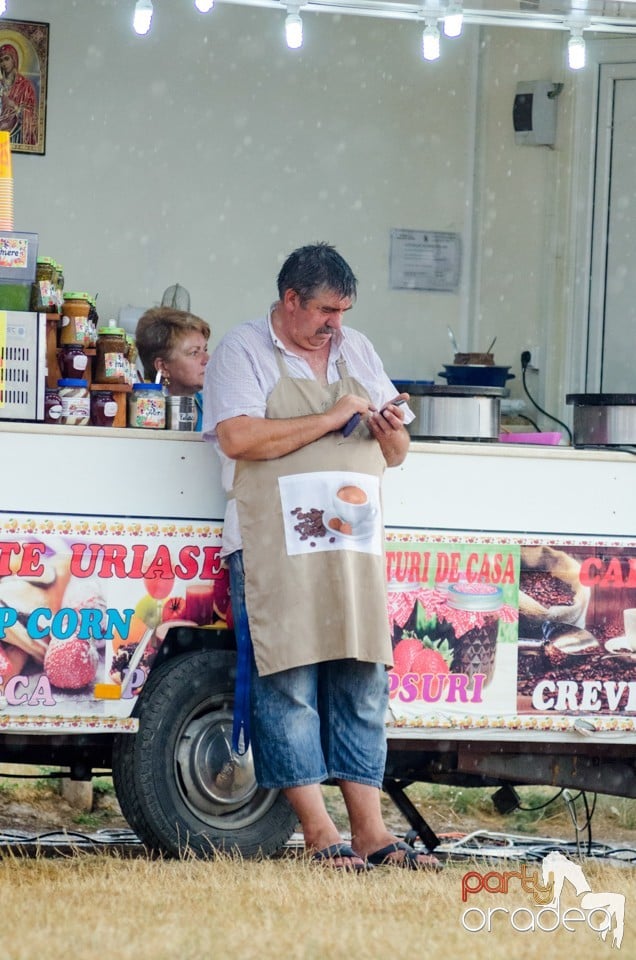 Concerte la Campionatul European de Rodeo, Băile Felix