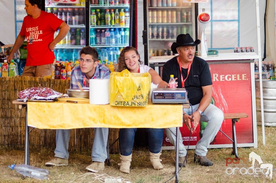 Concerte la Campionatul European de Rodeo, Băile Felix