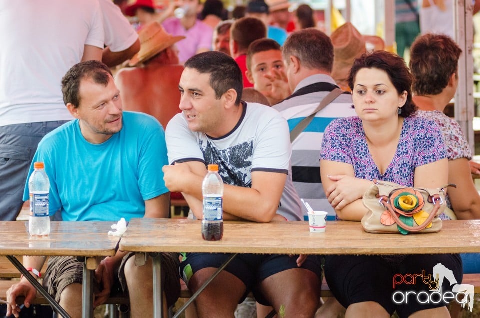 Concerte la Campionatul European de Rodeo, Băile Felix