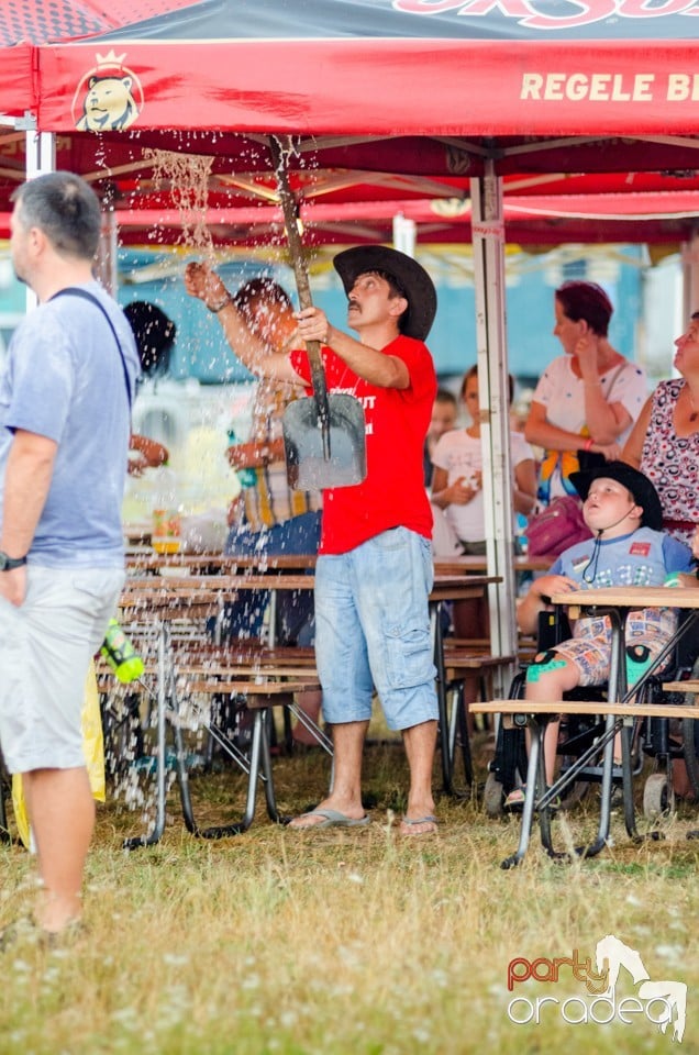 Concerte la Campionatul European de Rodeo, Băile Felix