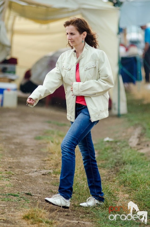 Concerte la Campionatul European de Rodeo, Băile Felix