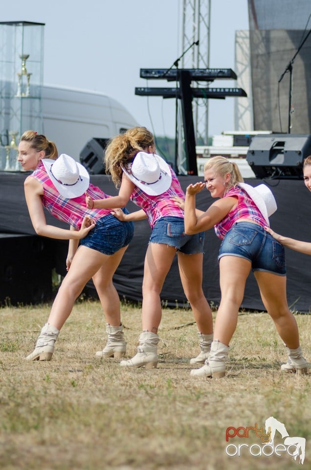 Concerte la Campionatul European de Rodeo, Băile Felix